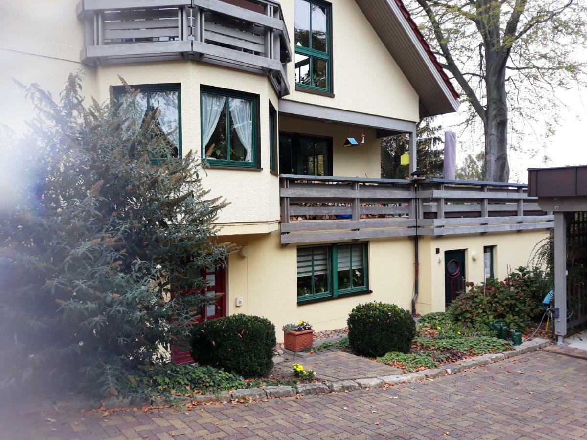 Ferienwohnung Oberloschwitz Drezda Kültér fotó