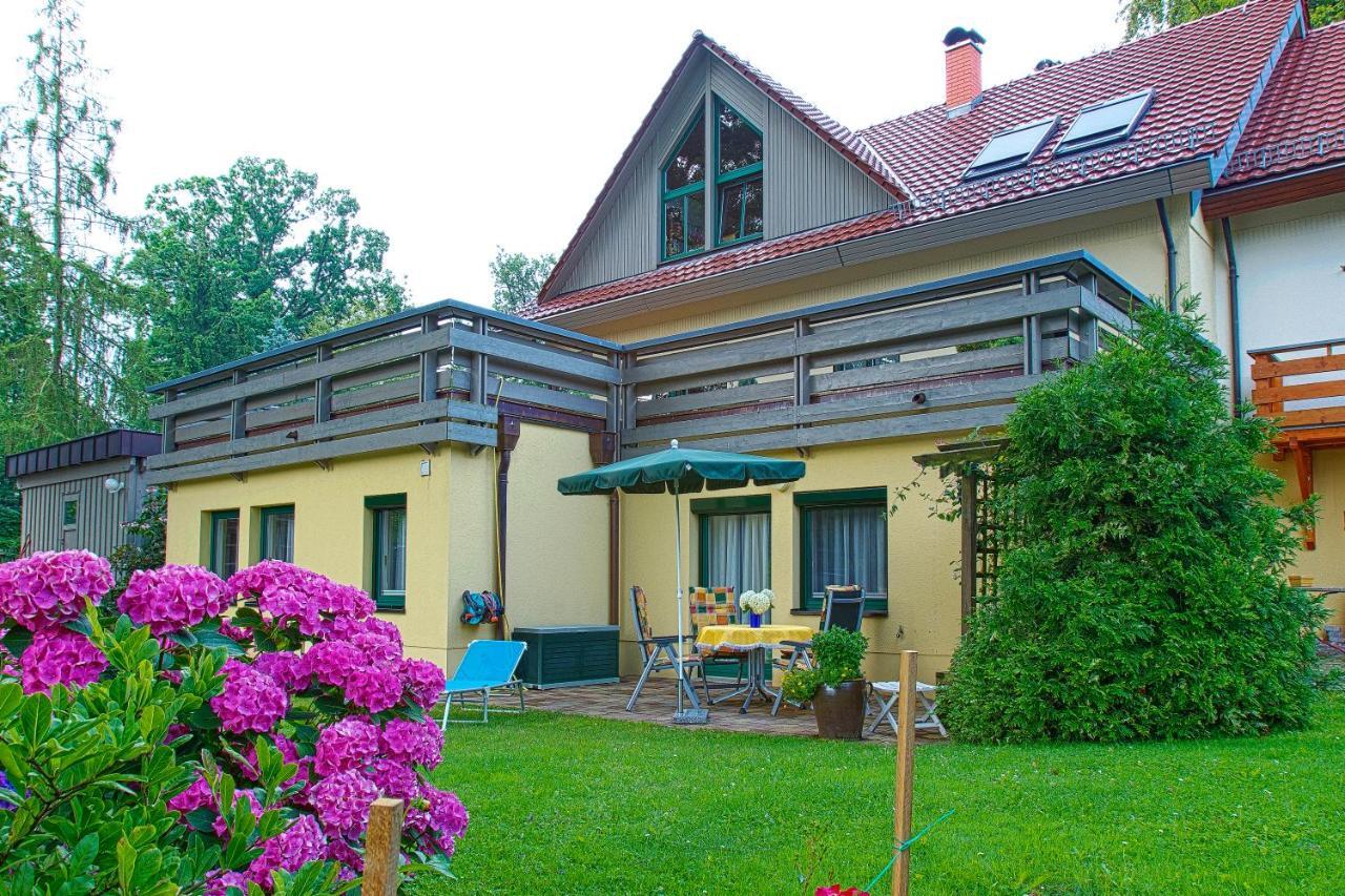 Ferienwohnung Oberloschwitz Drezda Kültér fotó